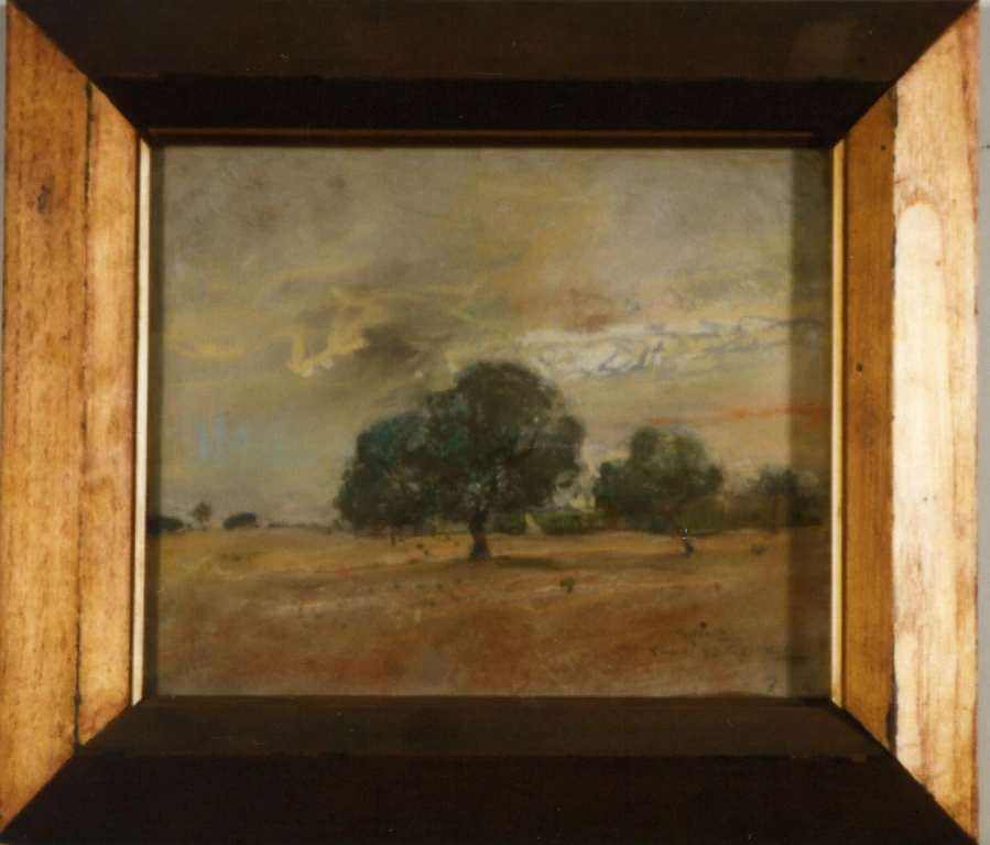 Zanzur - oasi al tramonto., Palazzo S. Giacomo, Napoli